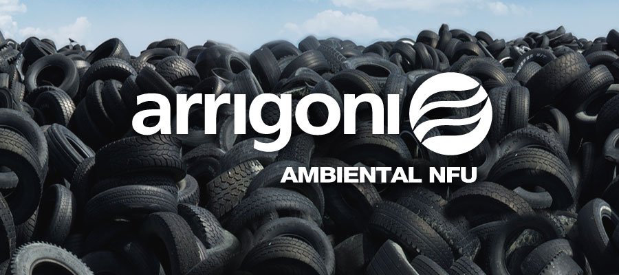 AIN-203-Arrigoni